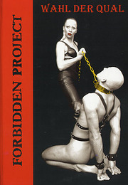 Porno DVD Wahl der Qual