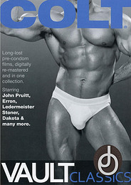 Porno Gay DVD Vault Classics
