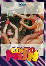 Porno DVD Gonzo Pain