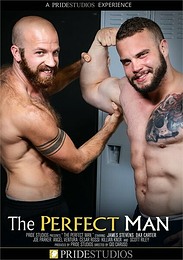 Porno Gay DVD The Perfect Man