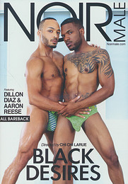 Porno Gay DVD Black Desires