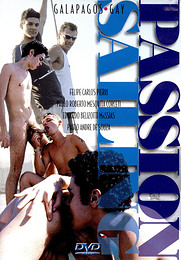 Porno Gay DVD Passion Sailing