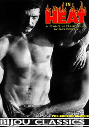 Gay DVD In Heat