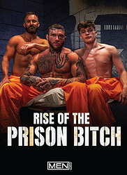Porno Gay DVD Rise Of The Prison Bitch