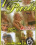 1 Night In Paris Vorschau
