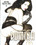 Domina 2 Vorschau