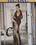 The Andrew Blake Collection  1 Vorschau