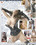 Divaz - Callgirls Vorschau