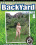 Backyard Amateurs 8 Vorschau