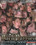 Dark Passion Vol. 07 Vorschau