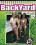 Backyard Amateurs 12 Vorschau