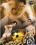 Bareback Soccer Sluts Vorschau