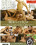 Sex Buddies 1 Vorschau