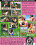 Backyard Amateurs 29 Vorschau