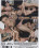 Gay Blow Job Vorschau