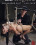 Hogtied - Red Headed Slut Vorschau
