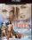 Island Fever  3  HD + DVD Vorschau