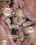 Spermageddon 15 Vorschau