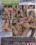 Double Pleasure Vorschau