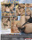 Sapphic Sensation Vorschau