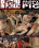 Bound In Public - Glory Hole Pig Vorschau