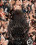 Game Of Bones Vorschau