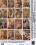 Bad Girls 13 Vorschau