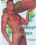 Forest Boy Vorschau