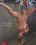 Sadistic Rope - She Is All Used Up Vorschau