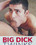 Big Dick Twinks Vorschau