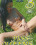 Piss Queens  3 Vorschau