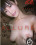Dreamy Allure Vorschau