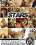 4hr Beautiful Stars Vorschau