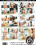 Filthy  Latin Sex Freaks 2 Vorschau