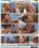 Cock Sucking Challenge 32 Vorschau