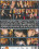 Cruel Games Vorschau
