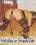 Sissy Education  2 Vorschau