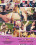 Intimate Fantasies Vorschau