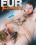 Fur Frenzy  2 Vorschau