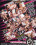 Zebra Girls 5 Vorschau