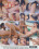 Curious Japanese Cuties Vorschau