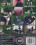 Obey & Suffer Vorschau