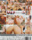 Milf All-Stars  5 Vorschau
