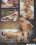 Push It In Raw Vorschau