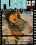 Flesh Film No. 11 Vorschau