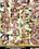 Swallowed.com  33  [2 DVDs] Vorschau