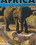Africa Connection Vorschau