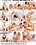 Crush  2 Vorschau