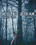 Hardtied - Winter Break  1 & 2 Vorschau