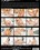 Anal Models Vol. 5 Vorschau